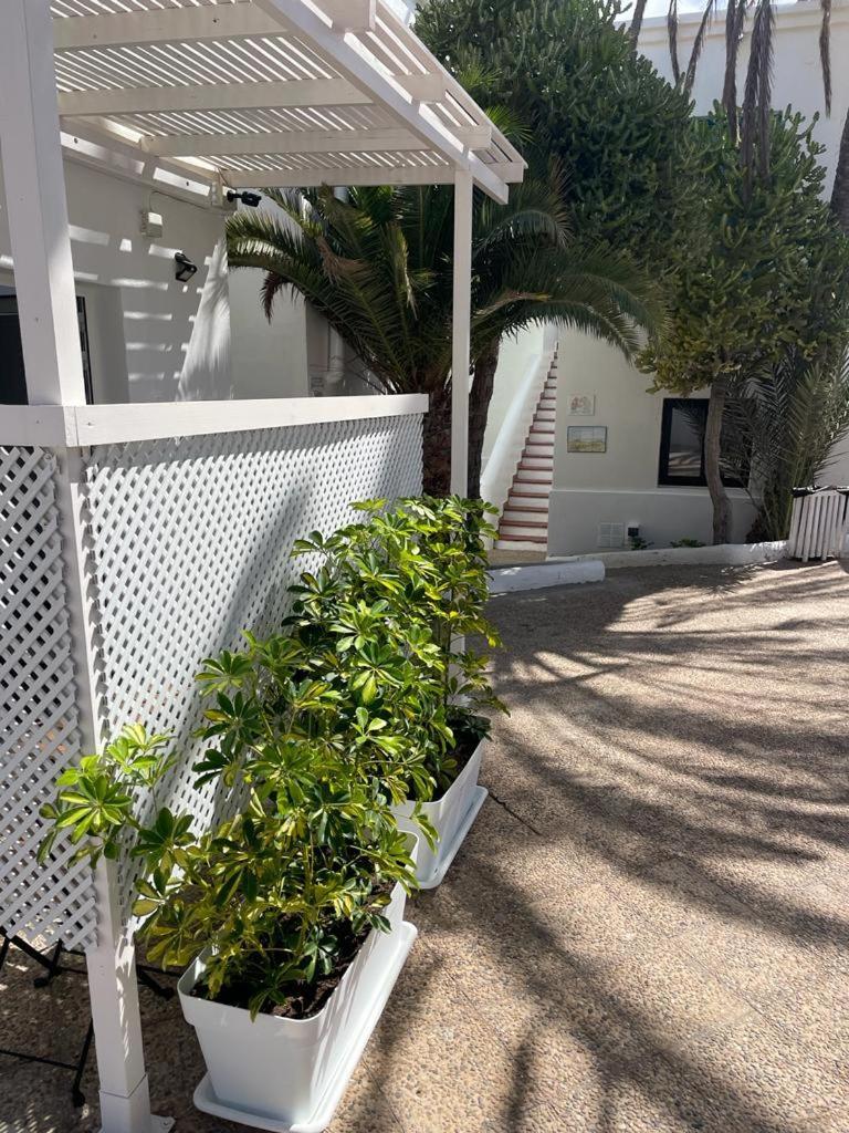 Apartamentos Punta Elena Beach Corralejo Bagian luar foto